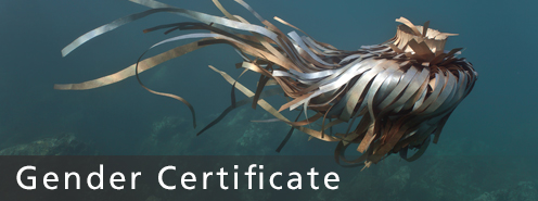 Gender Certificate logo